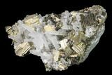 Quartz and Cubic Pyrite Association - Peru #141840-2